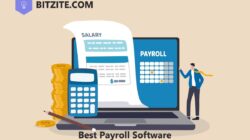 Best Payroll Software For Small Business