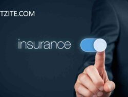 What does business insurance do?